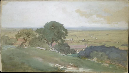 Olivenbäume in Tivoli