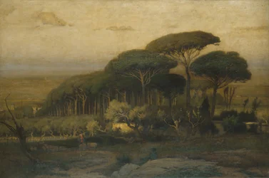Pinienhain der Villa Barberini