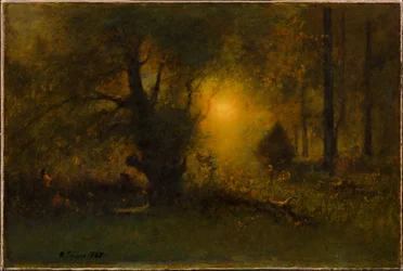 Sonnenaufgang im Wald