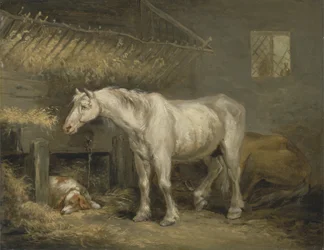 Alte Pferde mit einem Hund in einem Stall, c.1791