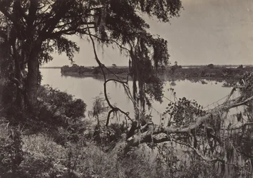 Savannah River, in der Nähe von Savannah, Georgia, 1860er Jahre