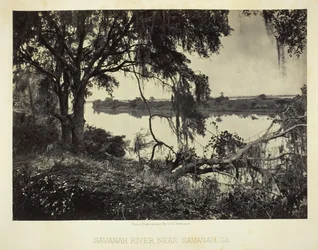 Savannah River, nahe Savannah, GA, 1866