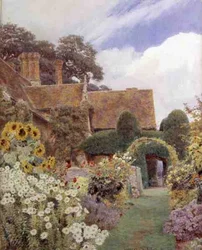 Cleve Prior: Sonnenblumen