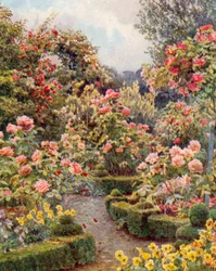 Überall sind Rosen, Rosen