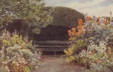 Ramscliffe, Orange Lilien und Eisenhut