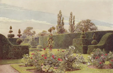 Der Rosengarten, Arley