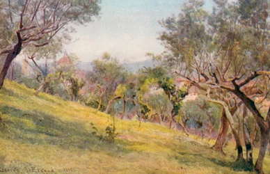 Durch die Oliven, Florenz