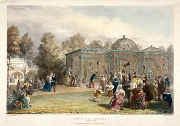 Zoologische Gärten, Regent