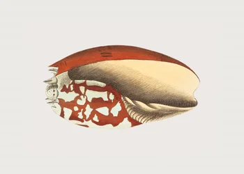 Äthiopische Krone