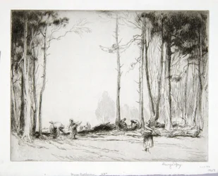 Holzsammler