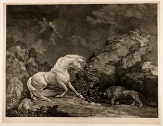 Ein Pferd erschreckt vor einem Löwen