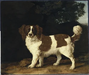 Fanny, der Lieblingsspaniel von Mrs. Musters, stehend in einer bewaldeten Landschaft