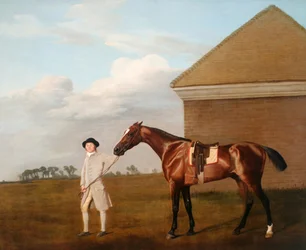 Firetail mit seinem Trainer am Abreibhaus auf Newmarket Heath, 1773