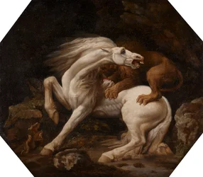 Pferd angegriffen von einem Löwen (Episode C)