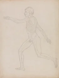 Menschliche Figur, seitliche Ansicht