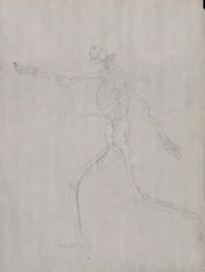 Menschliche Figur, Seitenansicht