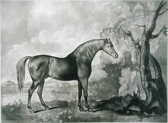 Braune Pferdemaske, nach George Stubbs