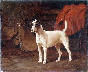 Ein Jack Russell in einem Sattelraum