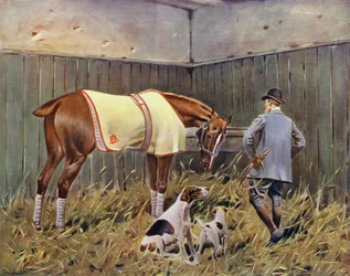 Die Favoriten des Sportlers