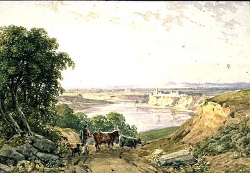 Landschaft mit Rindern