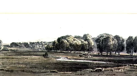 Landschaft mit Wiese und Bach