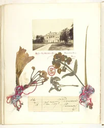 Ohne Titel [Ansicht von Broadlands mit getrockneten Blumen]
