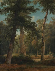 Ein Wald bei Fontainebleau