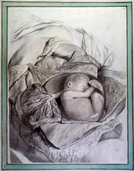 Darstellung eines menschlichen Fötus in einem Uterus