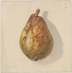 Birne