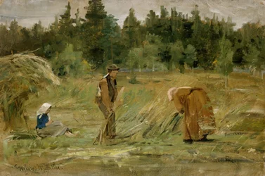 Das Feld des armen Mannes