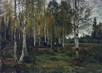 Birkenwald im Herbst