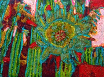 San Pedro Kaktusblüte, 2013