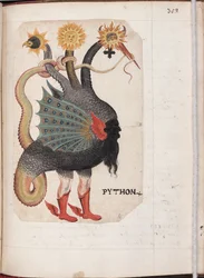 Python aus: Alchemisches und Rosenkreuzer-Kompendium, ca. 1760