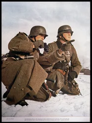 Einheitsführer bei Leningrad, aus 