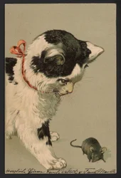Katze spielt mit einer Maus