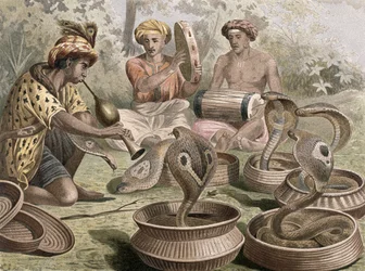 Kobra, Tafel aus Brehms Tierleben: Allgemeine Kunde des Tierreichs, Bd.7, S.355, veröffentlicht vom Bibliographischen Institut, 1892