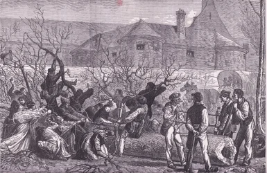 Bäume fällen rund um Paris für Brennholz, Cassells Geschichte des Krieges zwischen Frankreich und Deutschland, veröffentlicht von Cassell and Company Limited, ca. 1890