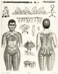 Diagramm von polynesischem Schmuck, Ornamenten und Tätowierungen, 1888