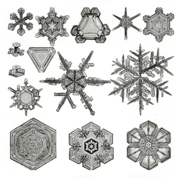 Verschiedene Formen von Schneeflocken