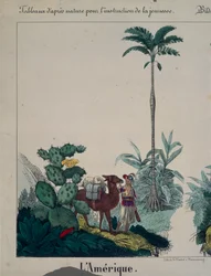 Bildungsposter mit Flora und Fauna Südamerikas, linke Seite, veröffentlicht von F. Wentzel, Weißenburg, 1840