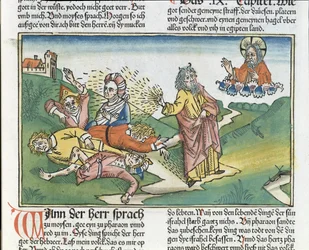 Exodus 9, 8-12, Die sieben Plagen Ägyptens: Mose und die Beulenplage, aus der Nürnberger Bibel (Biblia Sacra Germanica)