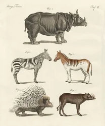 Vierfüßige Tiere