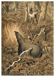 Illustration, Indianer jagen Tapir im Amazonaswald. In "De Bootslieden der Amazon-River", Karl Muller, Niederlande