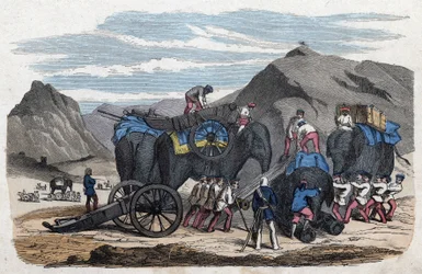 Verladung von Elefanten für Herrn Bocks Reise nach Dresden. In „Wenn Jemand eine Reise tut, so kann er was erzählen“, deutsche Erzählung von Franz Wiedemann.