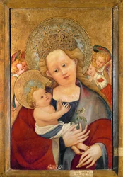 Madonna mit einer Erbsenblüte