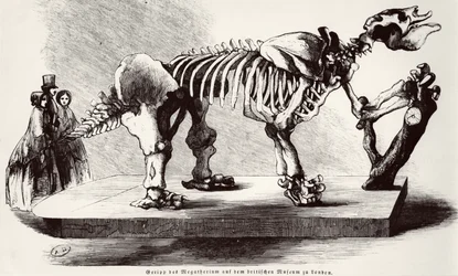 Megatherium-Skelett im British Museum