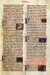 Seite aus De Natura Rerum über Vögel, von Albertus Magnus (circa 1200-1280)