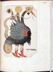 Python (aus: Alchemisches und Rosenkreuzer-Kompendium)