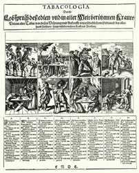 Tabakologie (Stich)