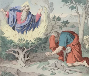 Der brennende Dornbusch